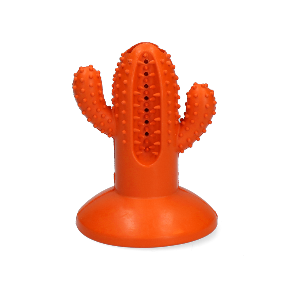 AFP Dental Chews - Dental Cactus M Oranje