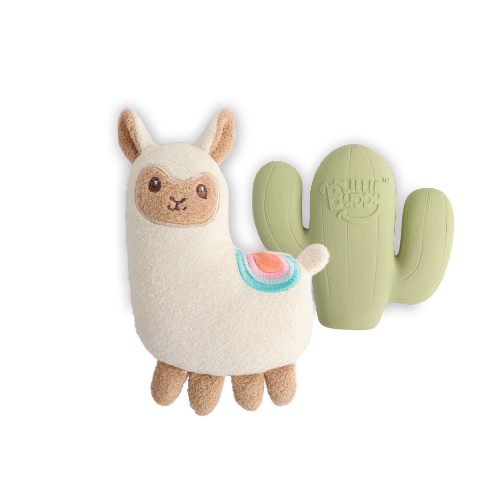 AFP Little Buddy 2-Pack Toy Fiesta