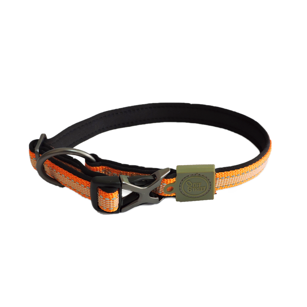 AFP Off Street - Dog Collar Mandarijn S