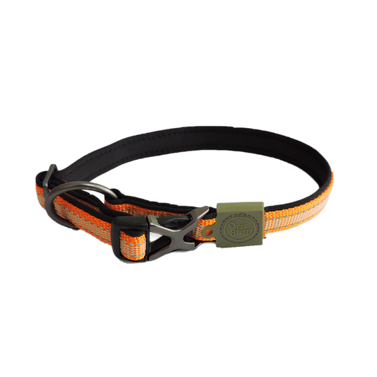 AFP Off Street - Dog Collar Mandarijn L