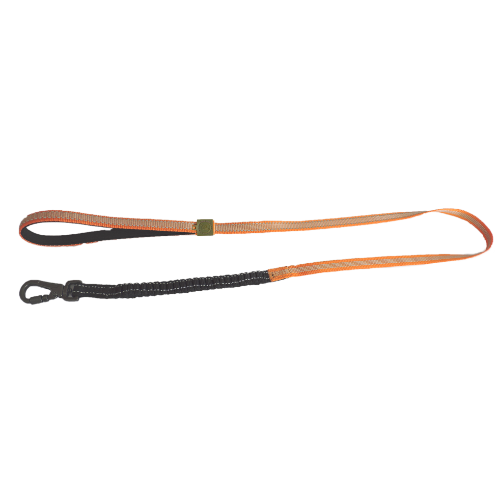 AFP Off Street - Dog Leash Mandarijn S