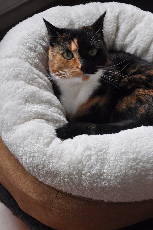 AFP Lambswool - Donut Bed Beige