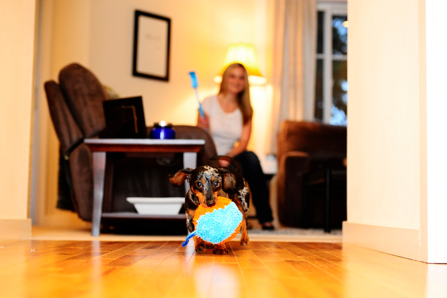 Chuckit! Indoor Shaker