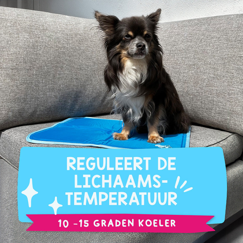 Coolpets Premium Solid gel Cooling Mat S 40x50cm