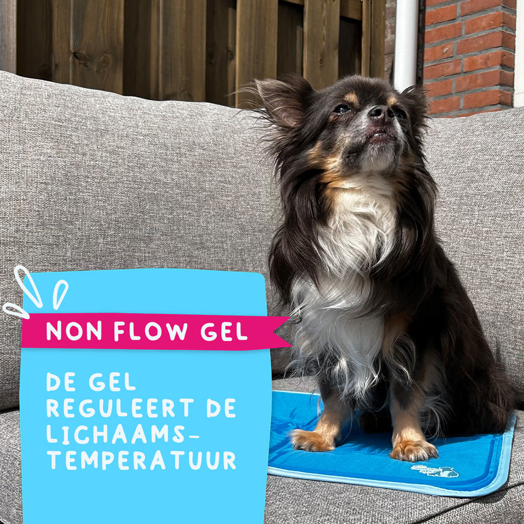 Coolpets Premium Solid gel Cooling Mat S 40x50cm