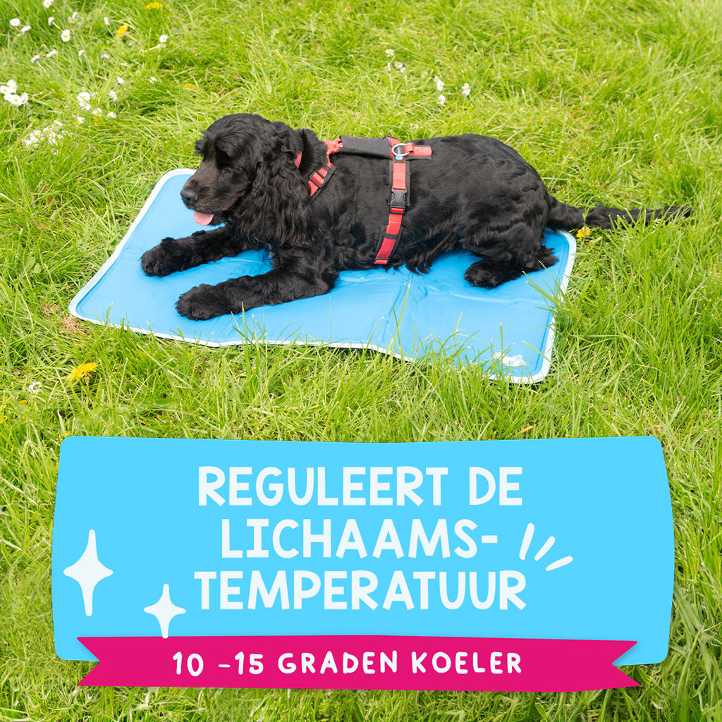 Coolpets Premium Solid gel Cooling Mat M 50x76cm