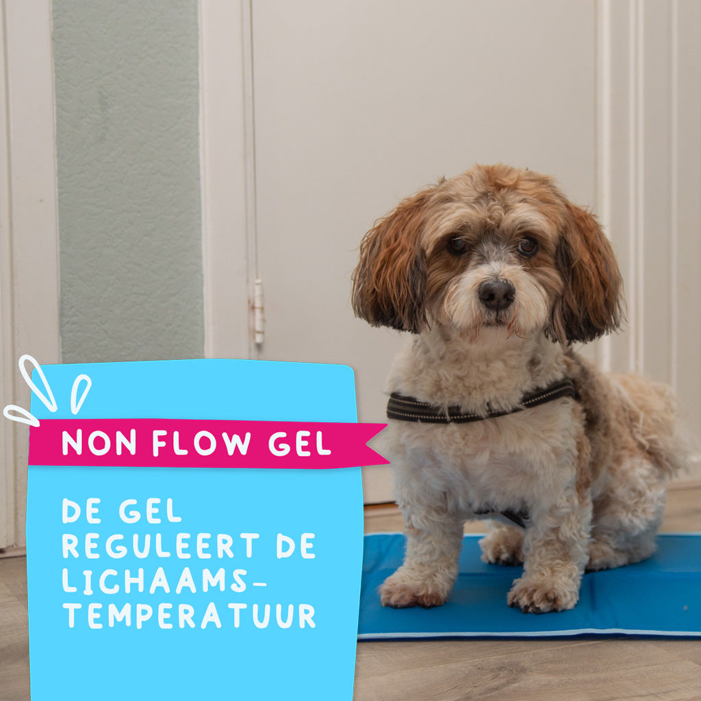 Coolpets Premium Solid gel Cooling Mat M 50x76cm