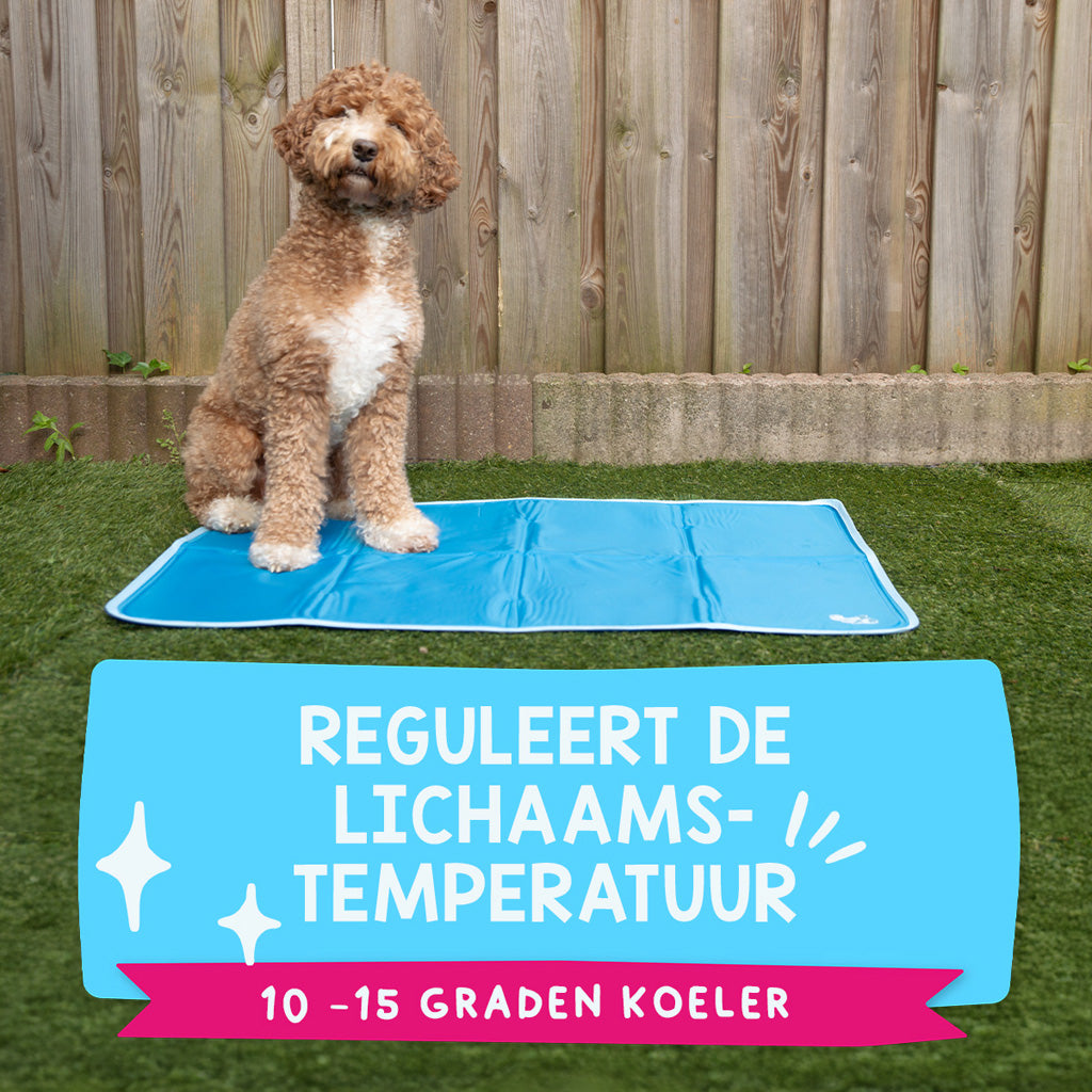 Coolpets Premium Solid gel Cooling Mat L 60x90cm