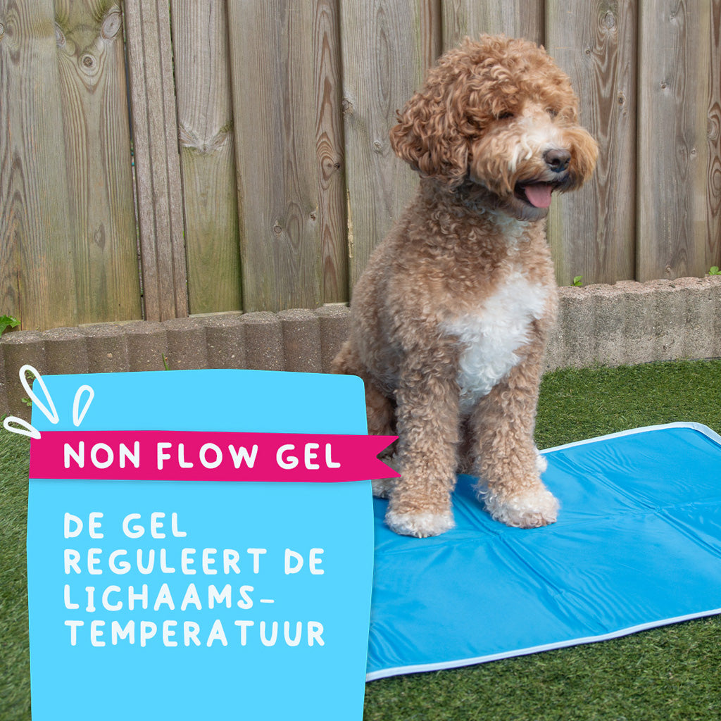 Coolpets Premium Solid gel Cooling Mat L 60x90cm