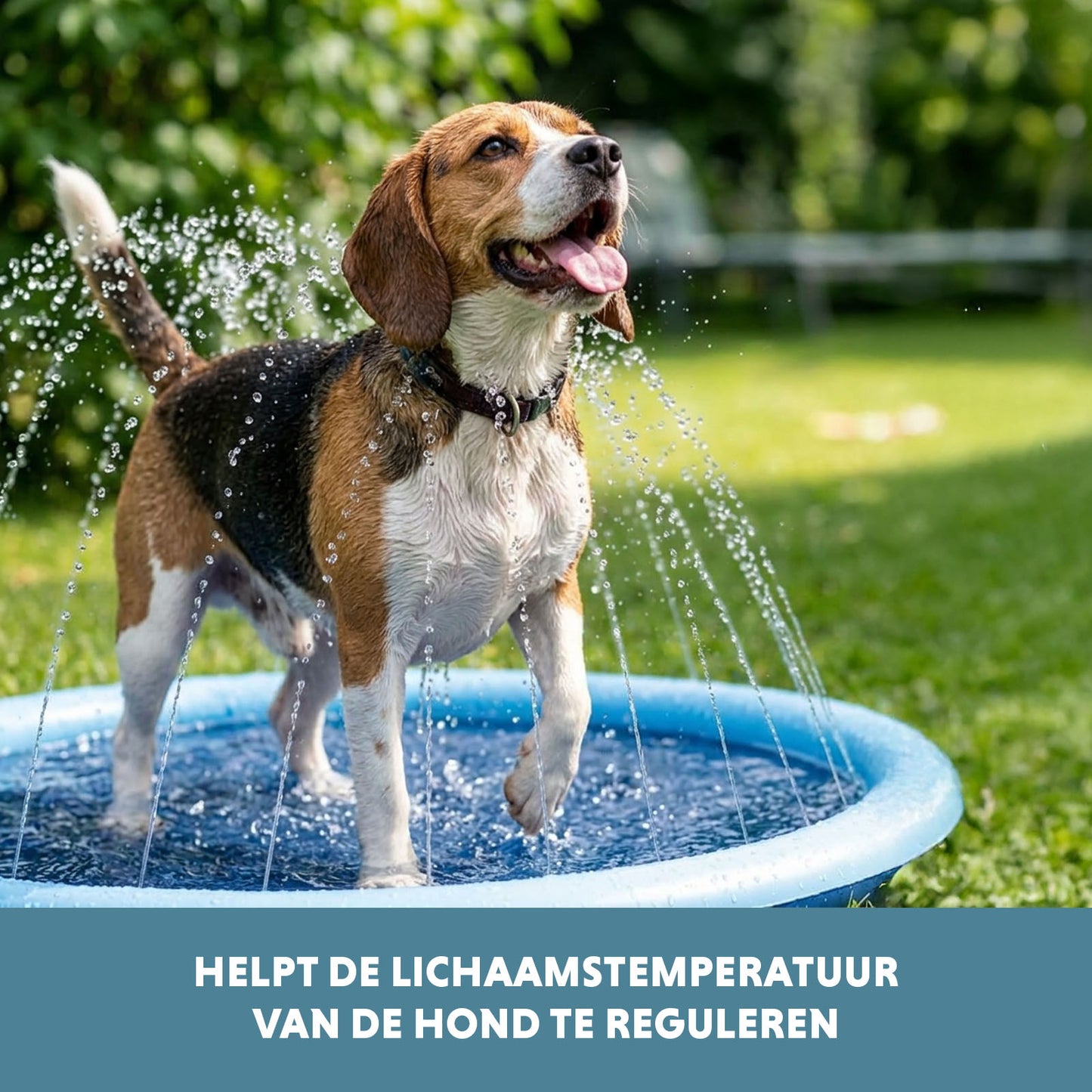 Coolpets Splash Sprinkler Pad M 150 cm