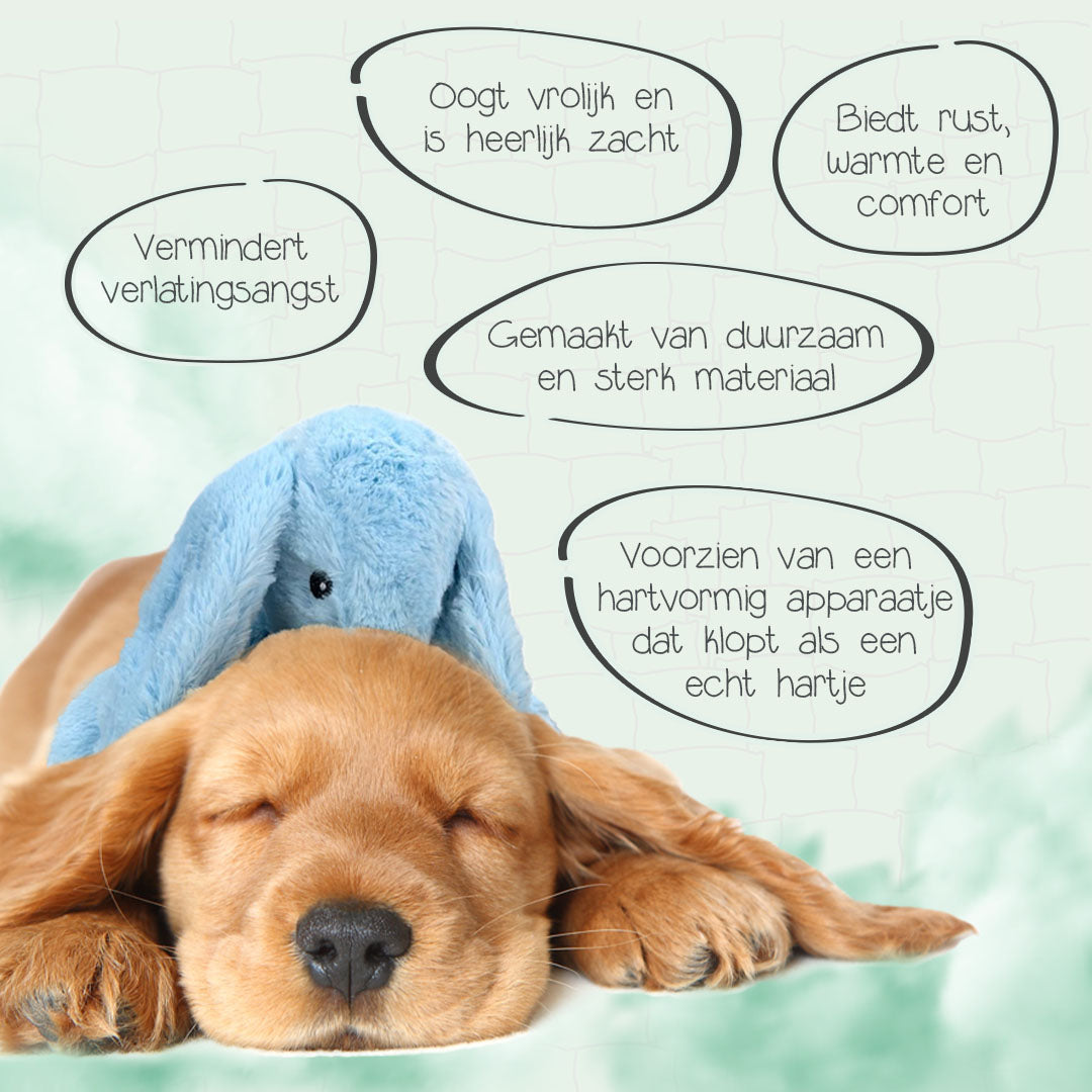 Cozy Dog Bunny Blauw