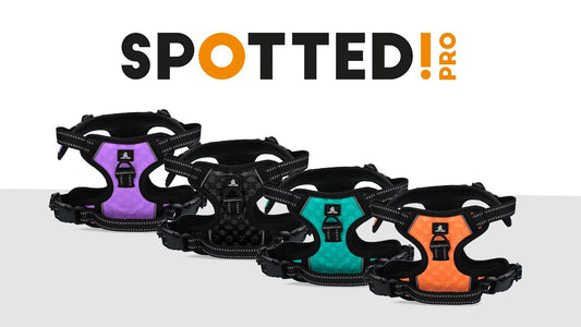 Spotted! Pro No Pull Harnas Groen M