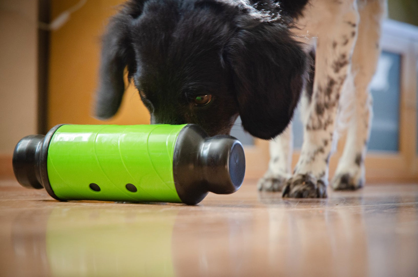 Eat Slow Live Longer Feed & Treat Roller Groen L