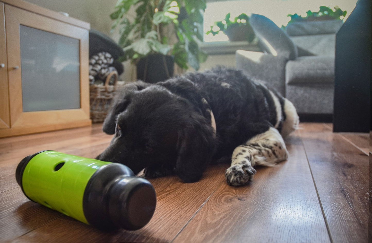 Eat Slow Live Longer Feed & Treat Roller Groen L