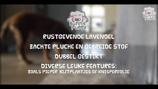 Bunny Puppy Crunchy Rope