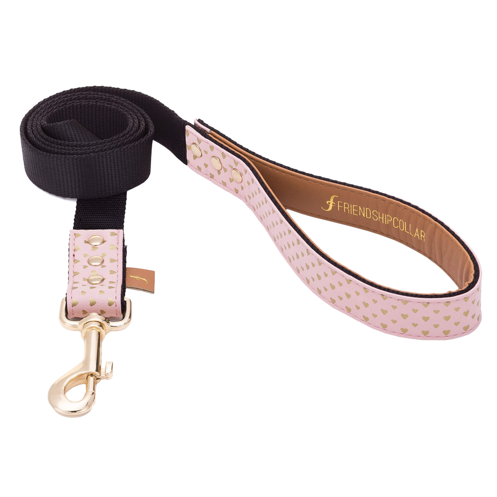 FriendshipCollar Puppy Love Riem 120 cm