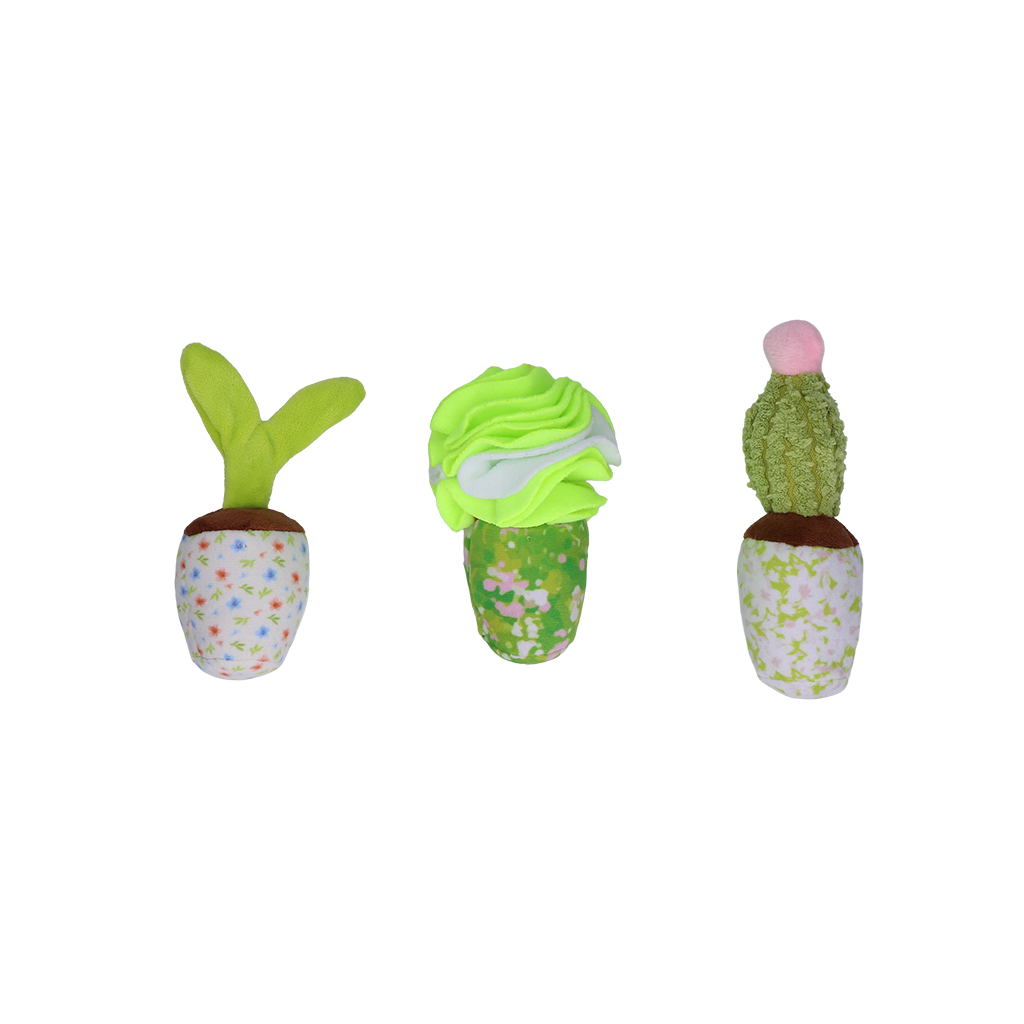 Garden Paws Snuffle Box Sprout, Crop & Cactus