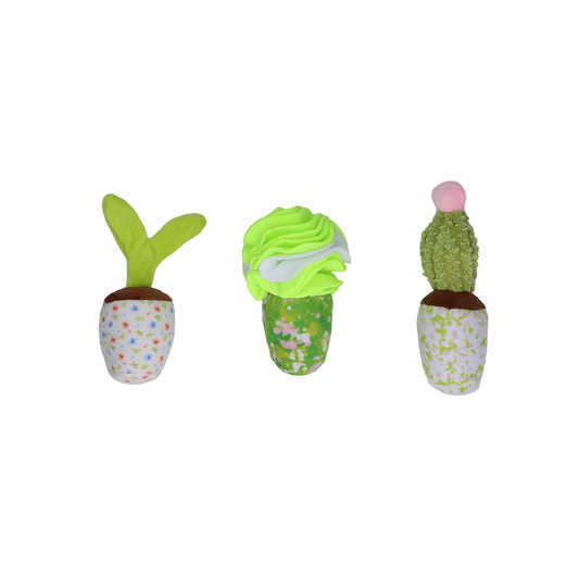 Garden Paws Snuffle Box Sprout, Crop & Cactus