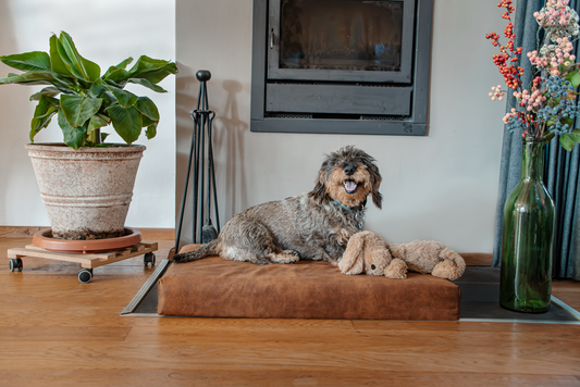 Let's Sleep Mellow Mattress Orthopedisch Kussen M Cognac