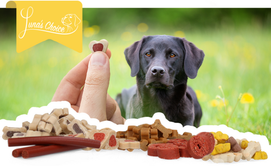 Luna's Choice Trainer Mix Rundvlees ringen