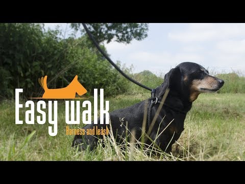 Easy Walk Handmodel Zwart - Mini