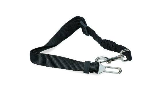 Pawise Dog Safety Belt