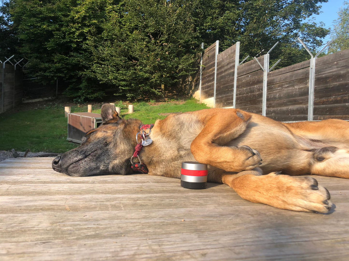 RelaxoPet PRO Hond