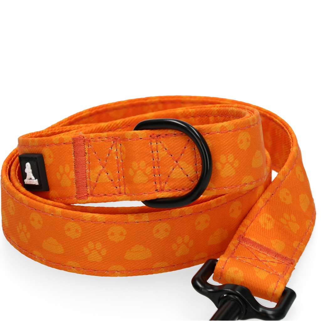 Spotted! Pro Perfect Leash 120 cm Oranje