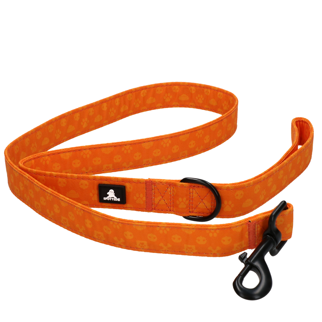 Spotted! Pro Perfect Leash 120 cm Oranje