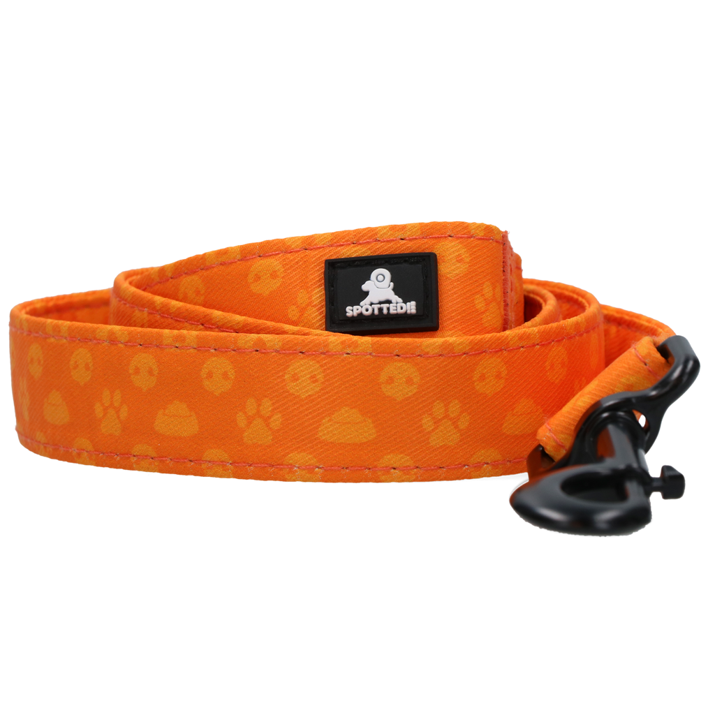 Spotted! Pro Perfect Leash 120 cm Oranje
