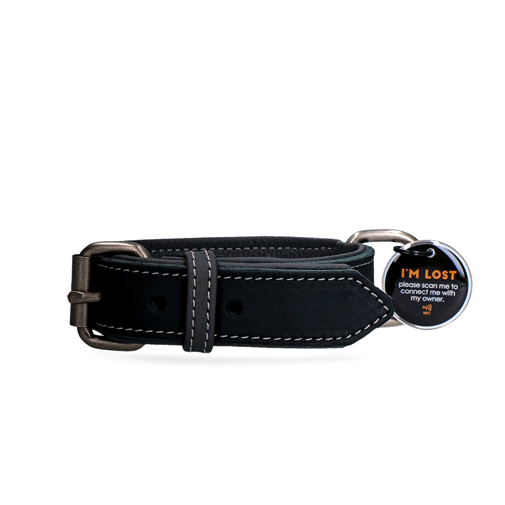 Spotted! Pro Leren Halsband Zwart 3 x 55 cm