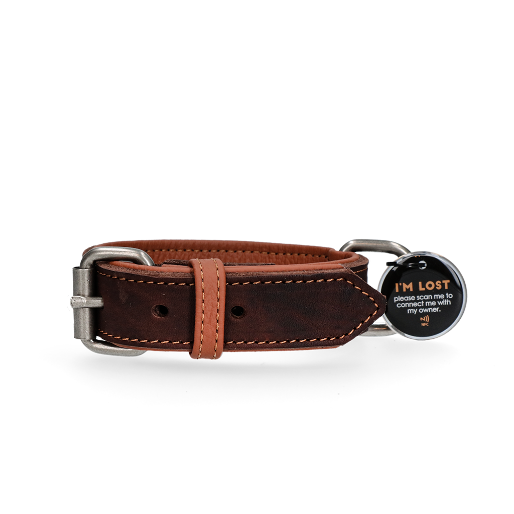 Spotted! Pro Leren Halsband Bruin 2,5 x 45 cm