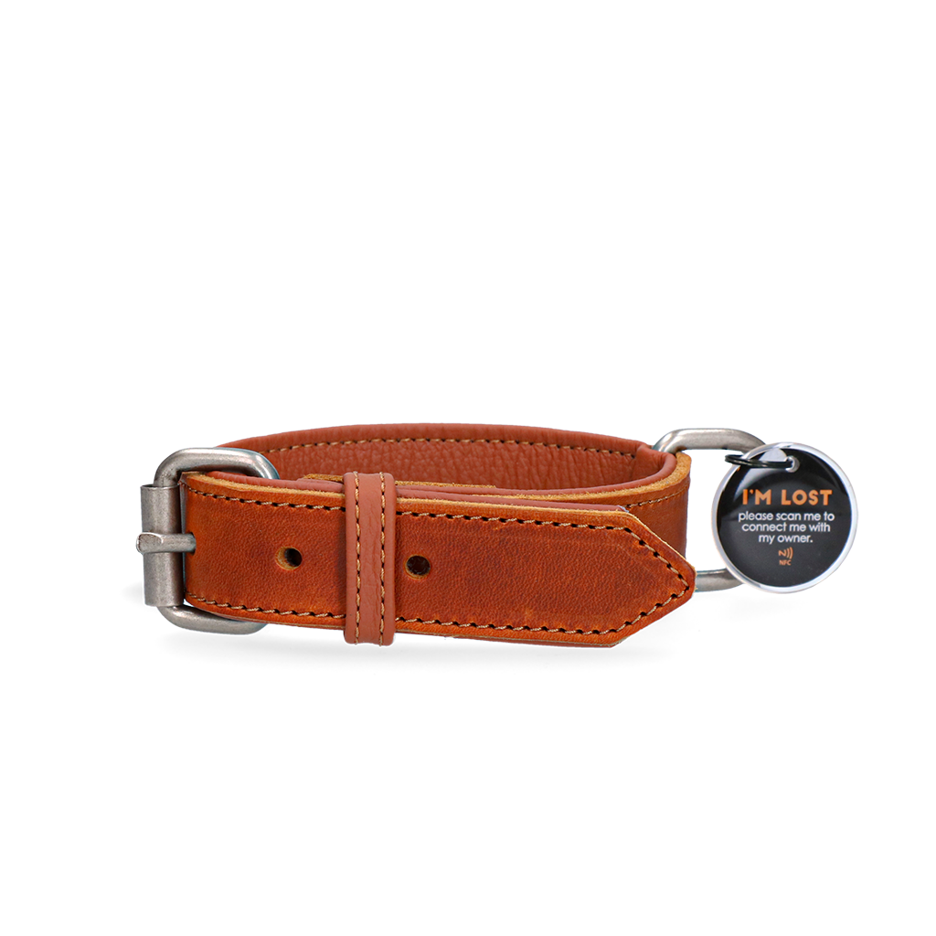 Spotted! Pro Leren Halsband Cognac 2,5 x 50 cm