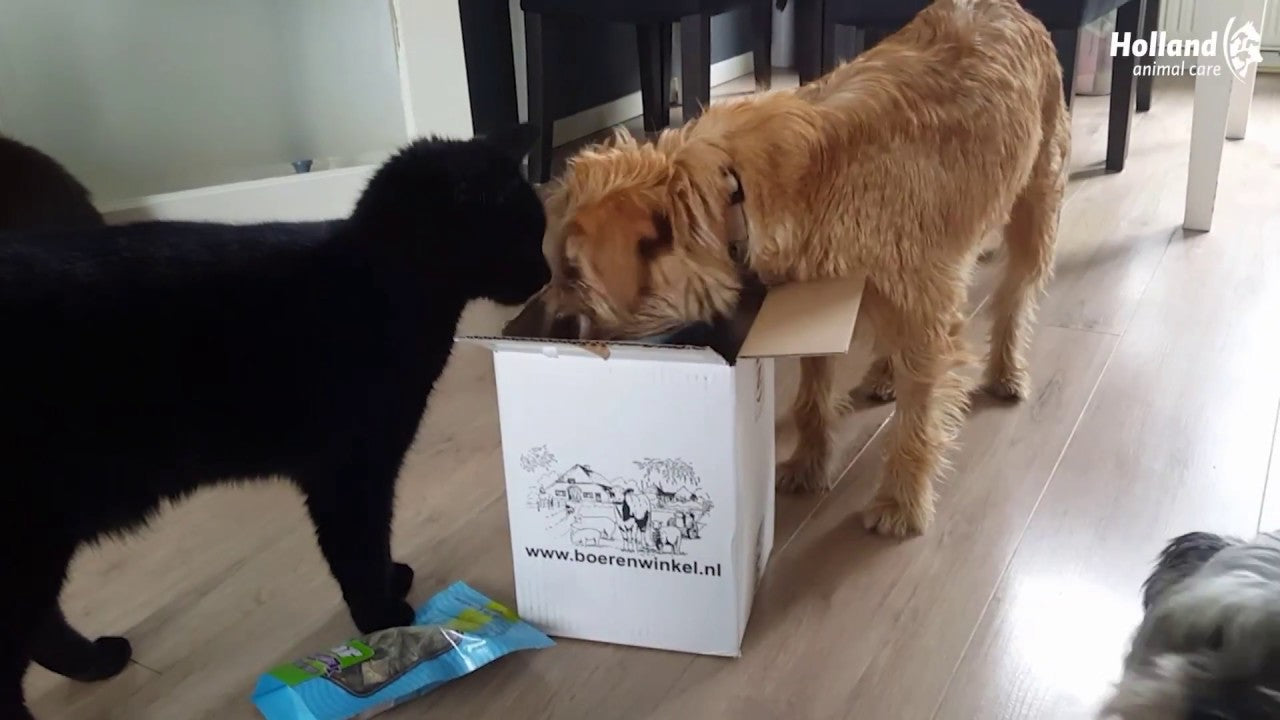 Braaaf Rawhide Donut Rund & Vis