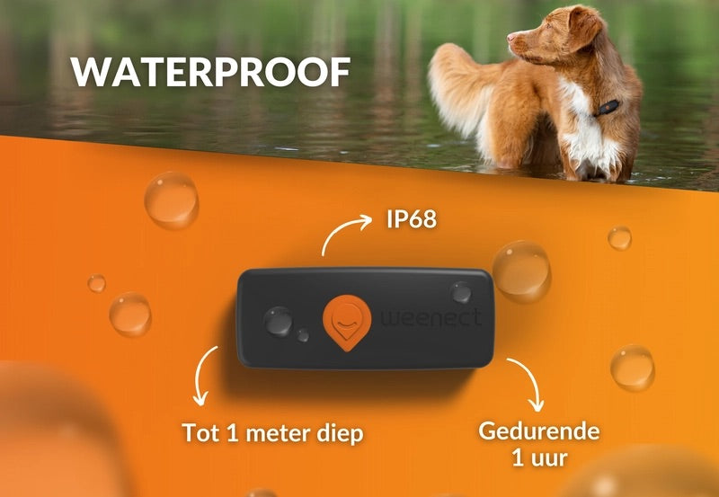 Honden GPS tracker - Weenect XS - Zwart | Mini GPS