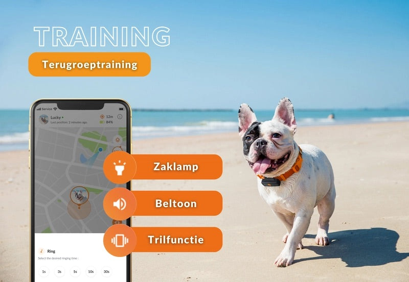 Honden GPS tracker - Weenect XS - Zwart | Mini GPS