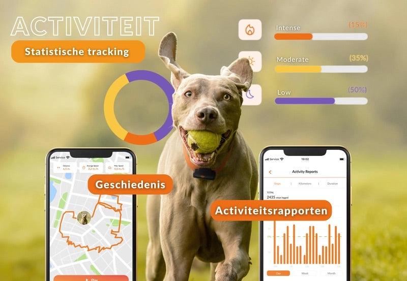 Honden GPS tracker - Weenect XS - Zwart | Mini GPS
