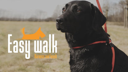 Easy Walk Schoudermodel Zwart - Regular