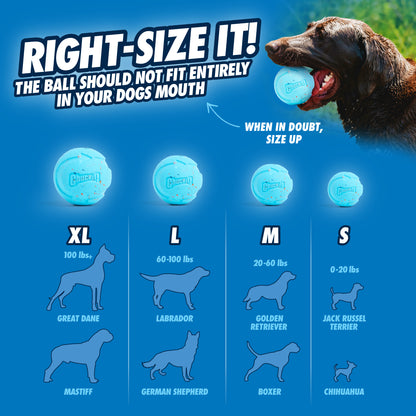 Chuckit! Rebounce Fetch Ball M (2-pack)