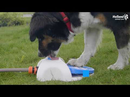 CoolPets Splash Water Fountain