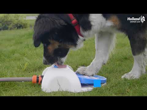 CoolPets Splash Water Fountain