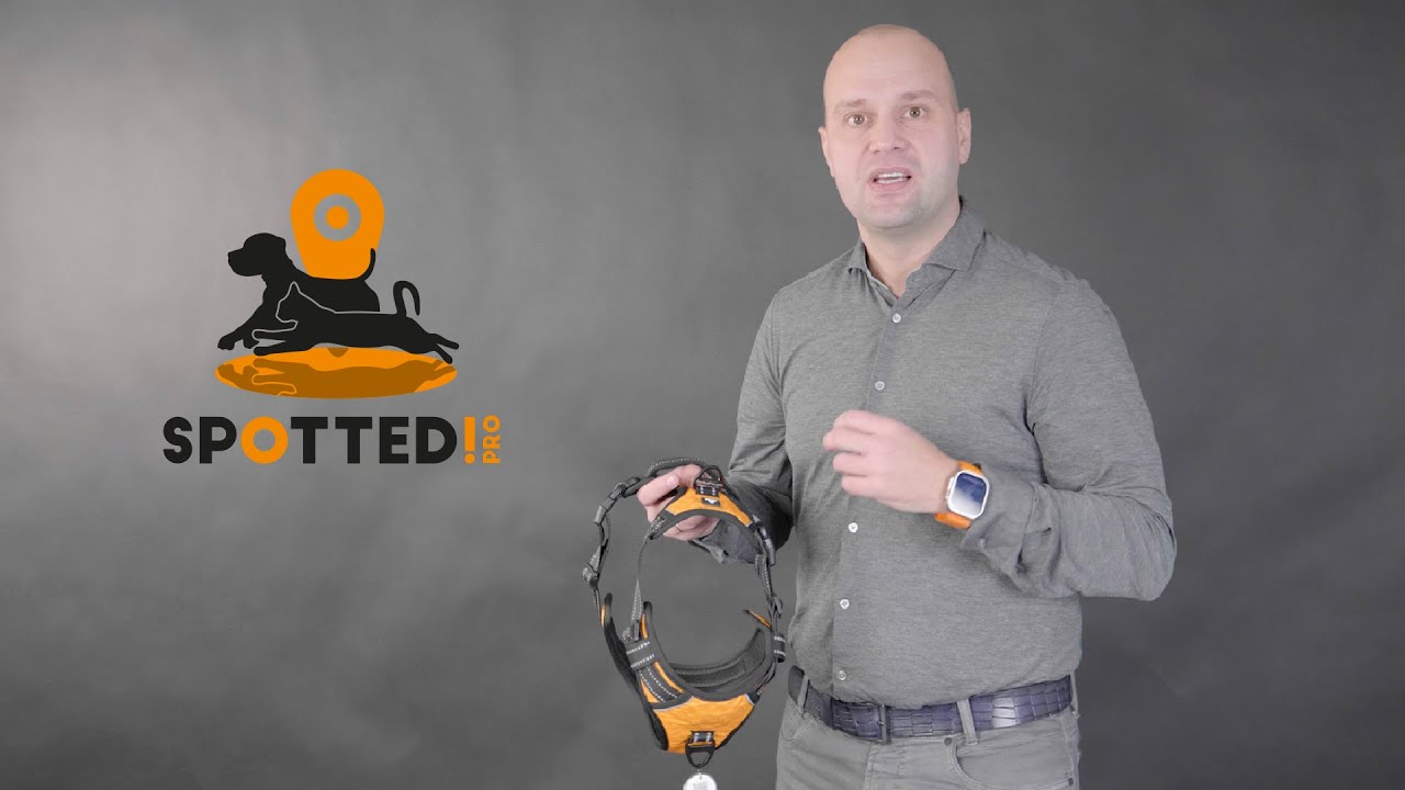 Spotted! Pro No Pull Harnas Oranje L