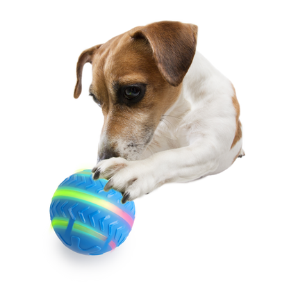 AFP Interactives Motion Activated Action Ball