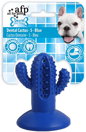 AFP Dental Chews - Dental Cactus S Blauw