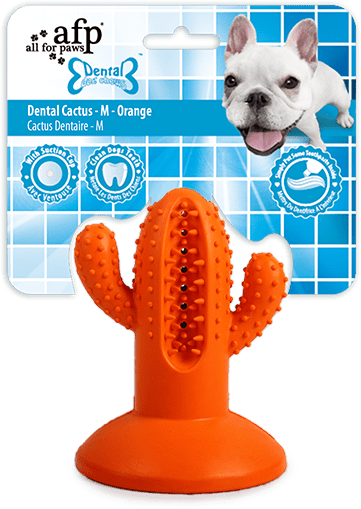 AFP Dental Chews - Dental Cactus M Oranje