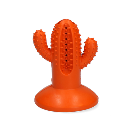 AFP Dental Chews - Dental Cactus M Oranje