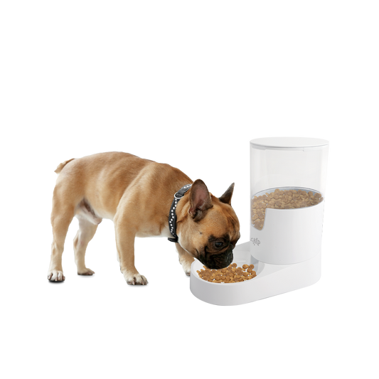 AFP Lifestyle 4 Pets Gravity Pet Food Feeder