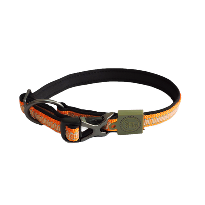AFP Off Street - Dog Collar Mandarijn S