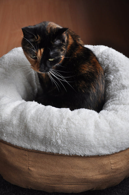AFP Lambswool - Donut Bed Beige