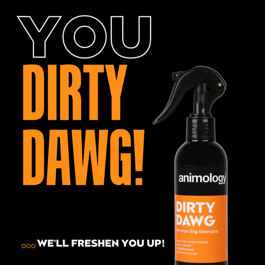 Animology Dirty Dawg No Rinse Dog Shampoo 250 ml